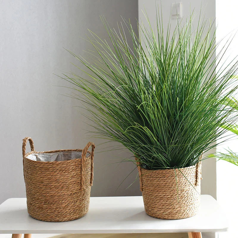 Plant Basket - Indoor with Plastic Liner