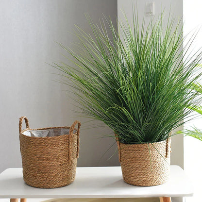 Plant Basket - Indoor with Plastic Liner