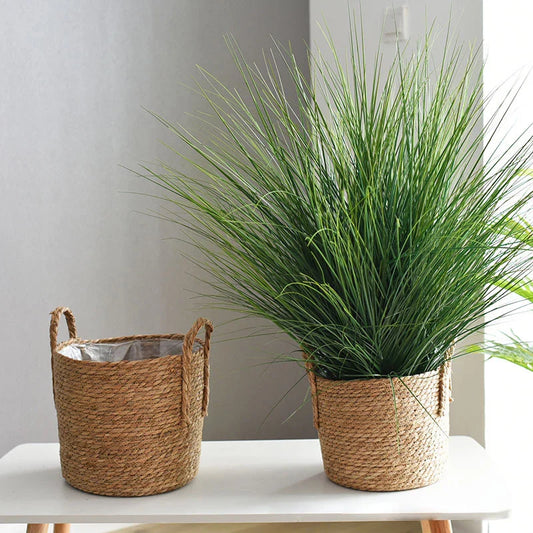 Plant Basket - Indoor with Plastic Liner